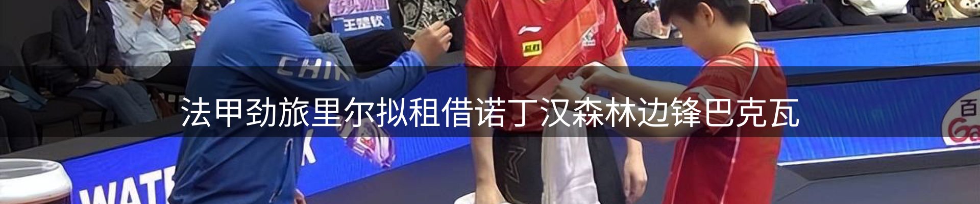 平台视角